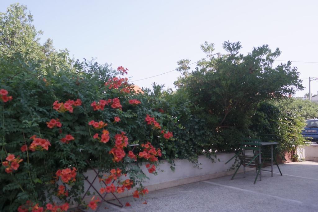 זאדאר Apartment Lavanda מראה חיצוני תמונה