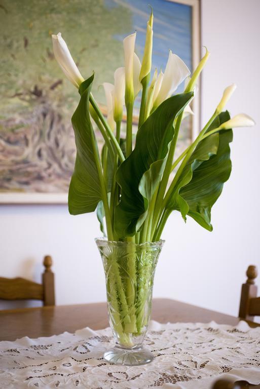 זאדאר Apartment Lavanda חדר תמונה